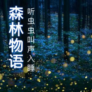听蟋蟀声入睡夏夜虫鸣