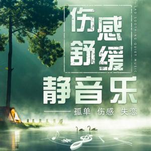 夜里适合一个人听的音乐