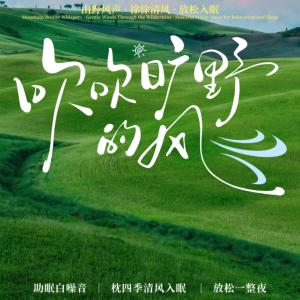 晚风入梦・枕四季清风入眠