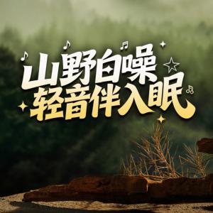 山野白噪轻音伴入眠