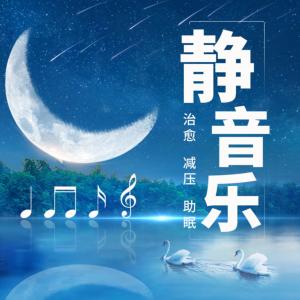 静音乐