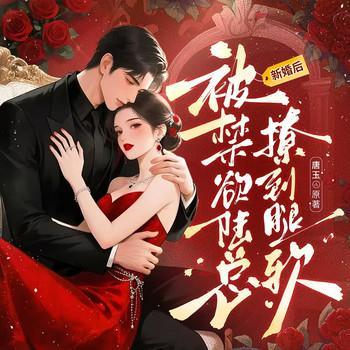 新婚后，被禁欲陆总撩得腿软