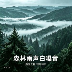 森林雨声白噪音