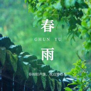 春雨 - 缠绵下雨声白噪音 - 沉浸式听雨ASMR疗愈助眠