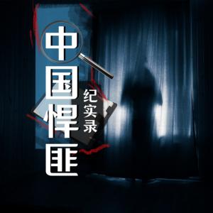 中国悍匪纪实录