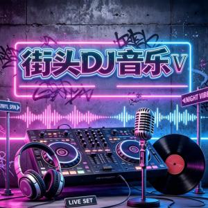 街头DJ音乐Ⅴ