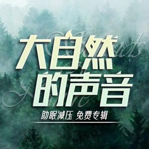 大自然的声音