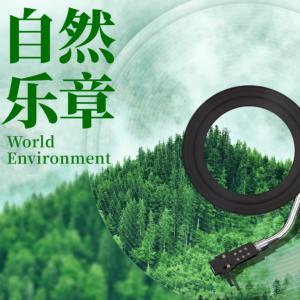 自然乐章大自然的声音白噪音