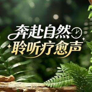奔赴自然聆听疗愈声