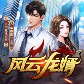 风云龙婿