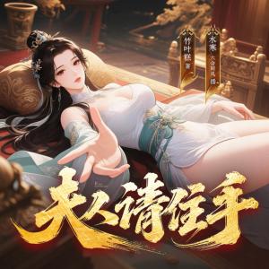 夫人请住手