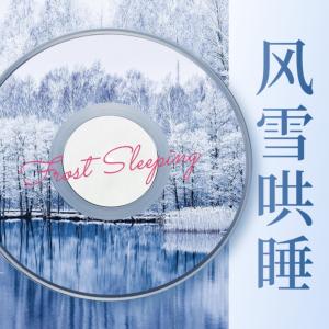 风雪催眠：冬季限定一听就困大自然白噪音安心睡