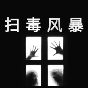 扫毒风暴‖经典热门影视原创同人故事及剧评‖案中冤案