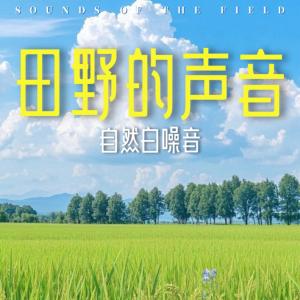 田野的声音白噪音