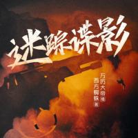 迷踪谍影