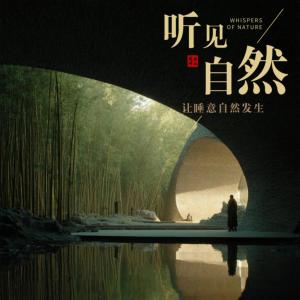 听见自然一夜好眠