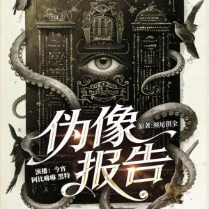 伪像报告