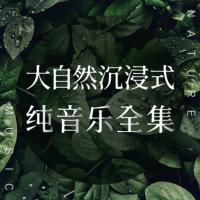 大自然沉浸式纯音乐全集