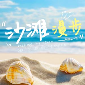 沙滩漫步海浪助眠白噪音