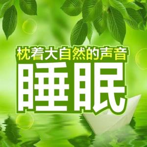 大自然冥想减压