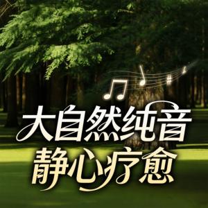 大自然纯音静心疗愈