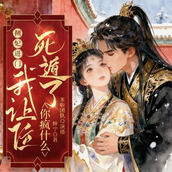 侧妃进门我让位，死遁了你疯什么
