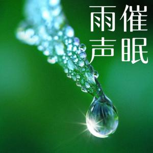 雨声催眠雨声图书馆哄睡神音改善睡眠