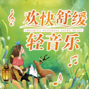 欢快舒缓轻音乐