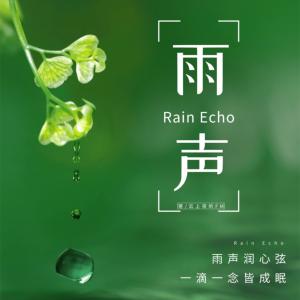 雨声白噪音心灵减压沉浸式下雨声疗愈ASMR助眠