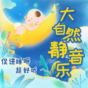大自然静音乐