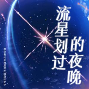流星划过的夜晚