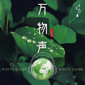 全景声白噪音沉浸式大自然听雨助眠