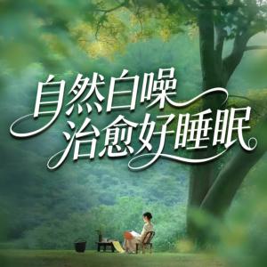 自然白噪治愈好睡眠