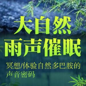 大自然雨声催眠