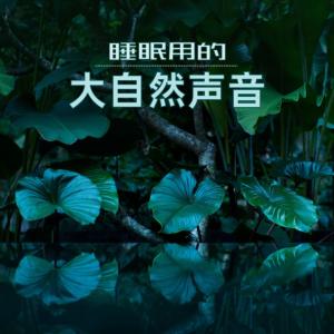 助眠白噪音