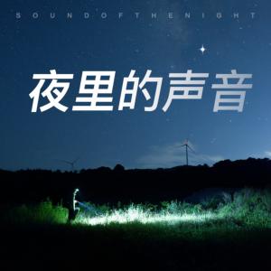 深夜里的声音白噪音