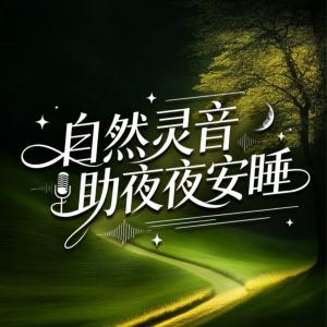 自然灵音助夜夜安睡