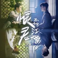 恨君不似江楼月