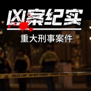 重大刑事案件纪实