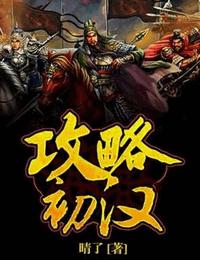 攻略初汉